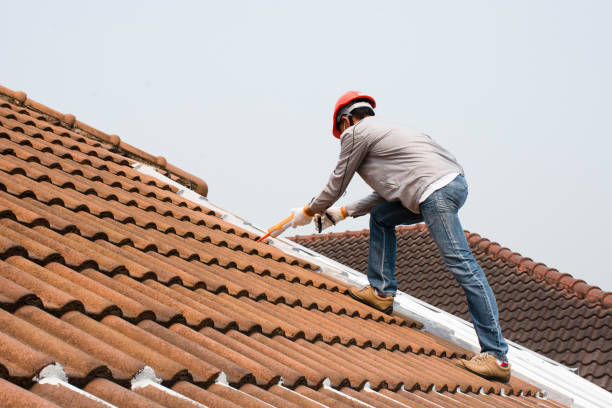 Best Roof Waterproofing  in Lawton, MI